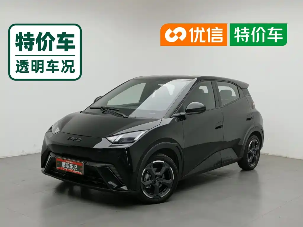 BYD Seagull