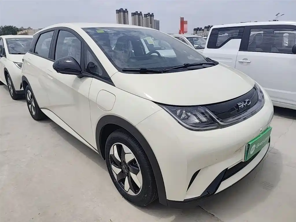 BYD Dolphin 2025 420km Freedom