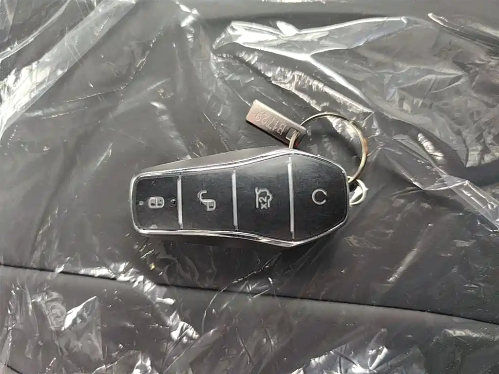 BYD Dolphin 2025 420km Freedom