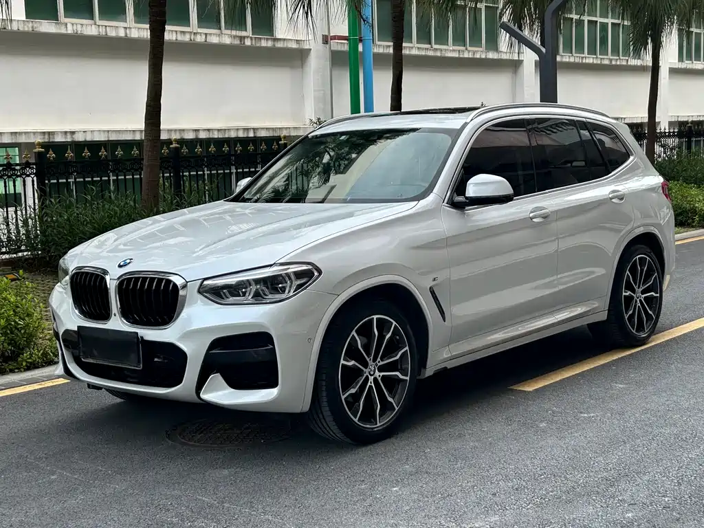 BMW X3 2020 xDrive30i Lead M Sport