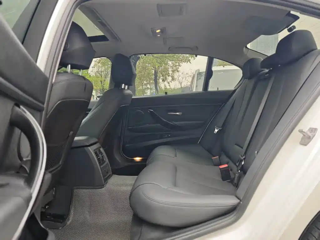 BMW 3 Series 3 2018 318Li