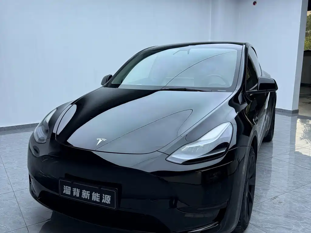 Tesla Model Y — миниатюра 3
