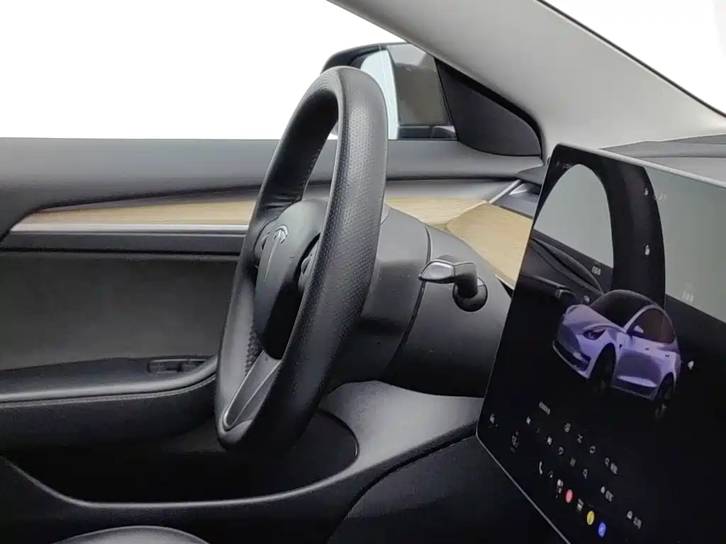 Tesla Model 3 — миниатюра 22