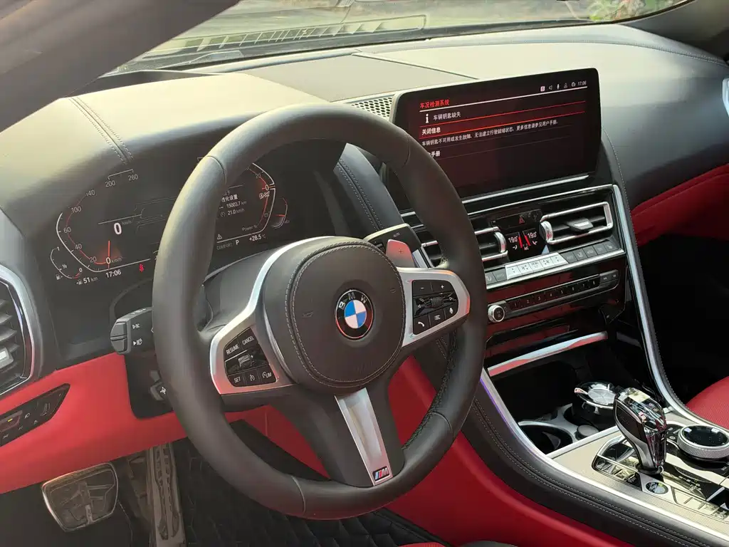 BMW 8 Series — миниатюра 8