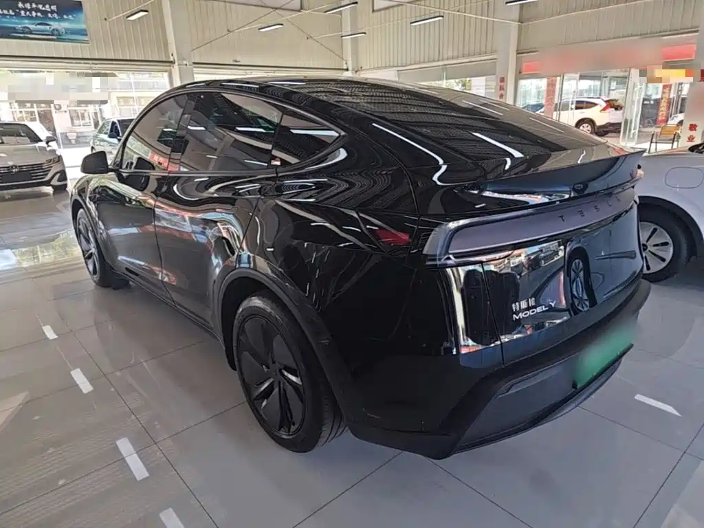 Tesla Model Y — миниатюра 5