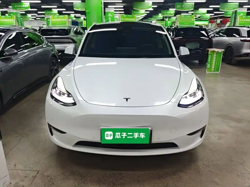 Tesla Model Y — миниатюра 3