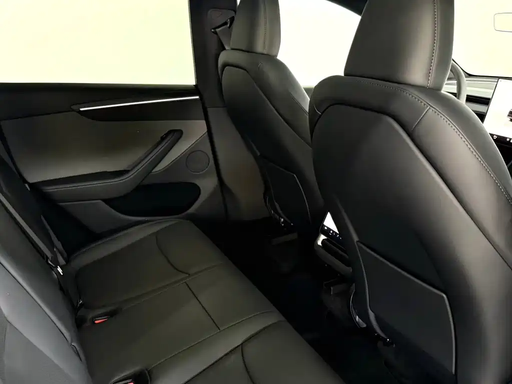 Tesla Model Y — миниатюра 5