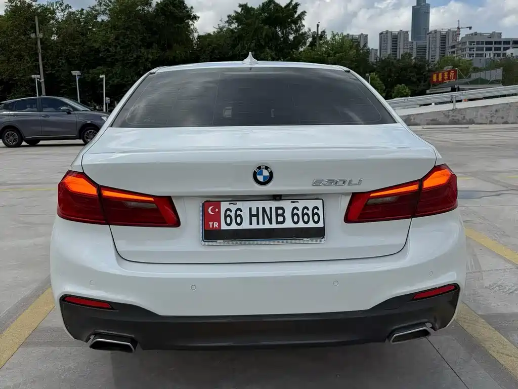 BMW 5 Series 5 2020 530Li Lead M Sport