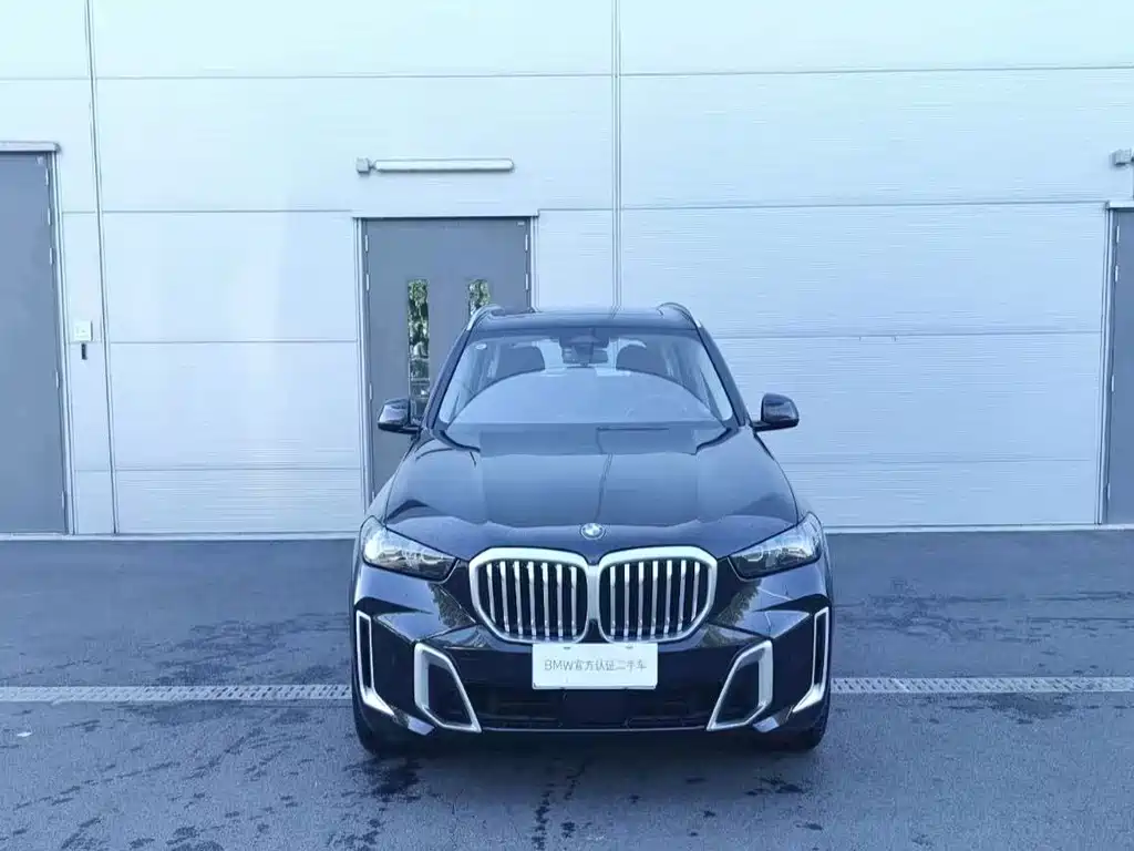 BMW X5 — миниатюра 2