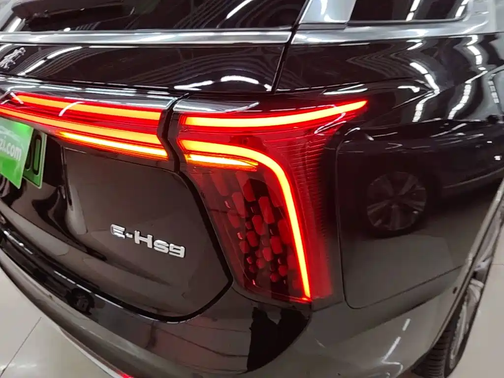 Hongqi Hongqi E-HS9 — миниатюра 8