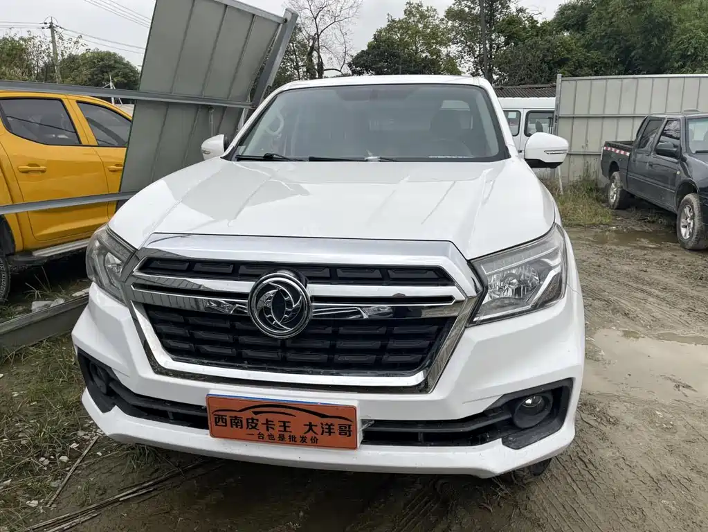 DONGFENG RUIQI 6
