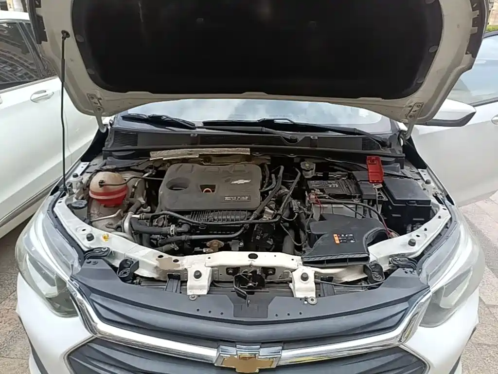 Chevrolet Cavalier — миниатюра 20