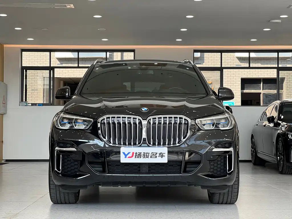BMW X5 — миниатюра 2