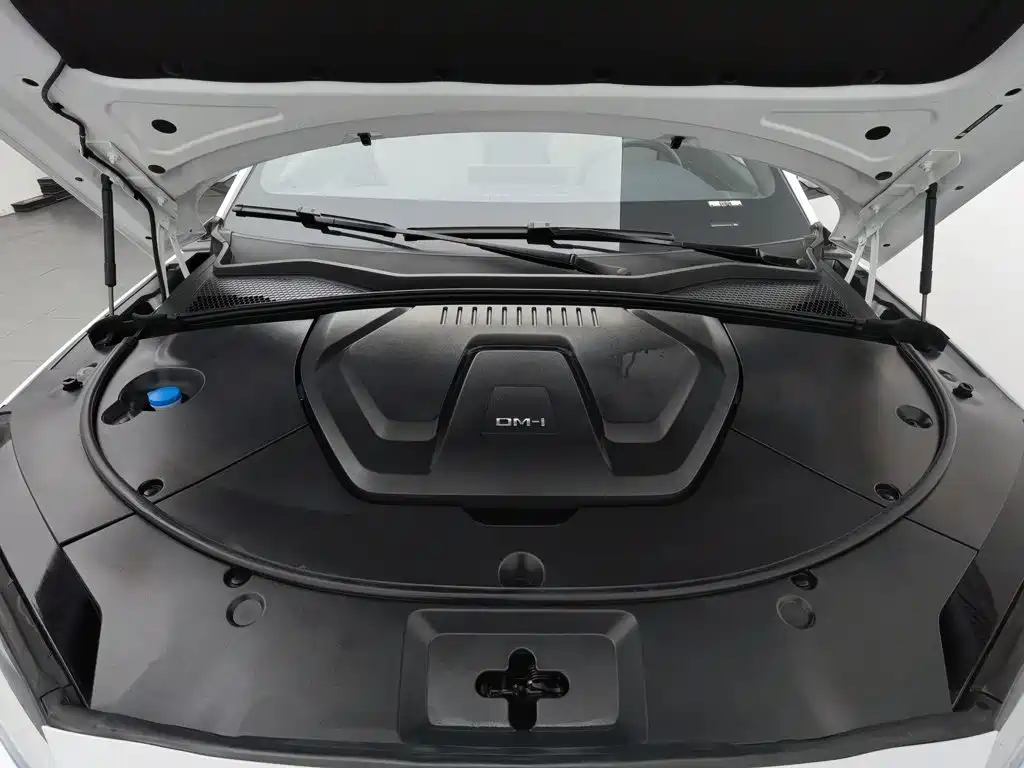 BYD PLUS New Energy — миниатюра 6