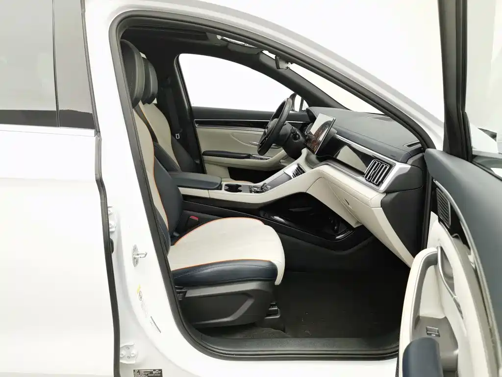 BYD PLUS New Energy — миниатюра 23