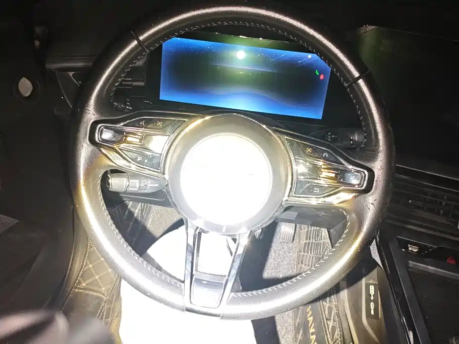 Haval Shenshou — миниатюра 15