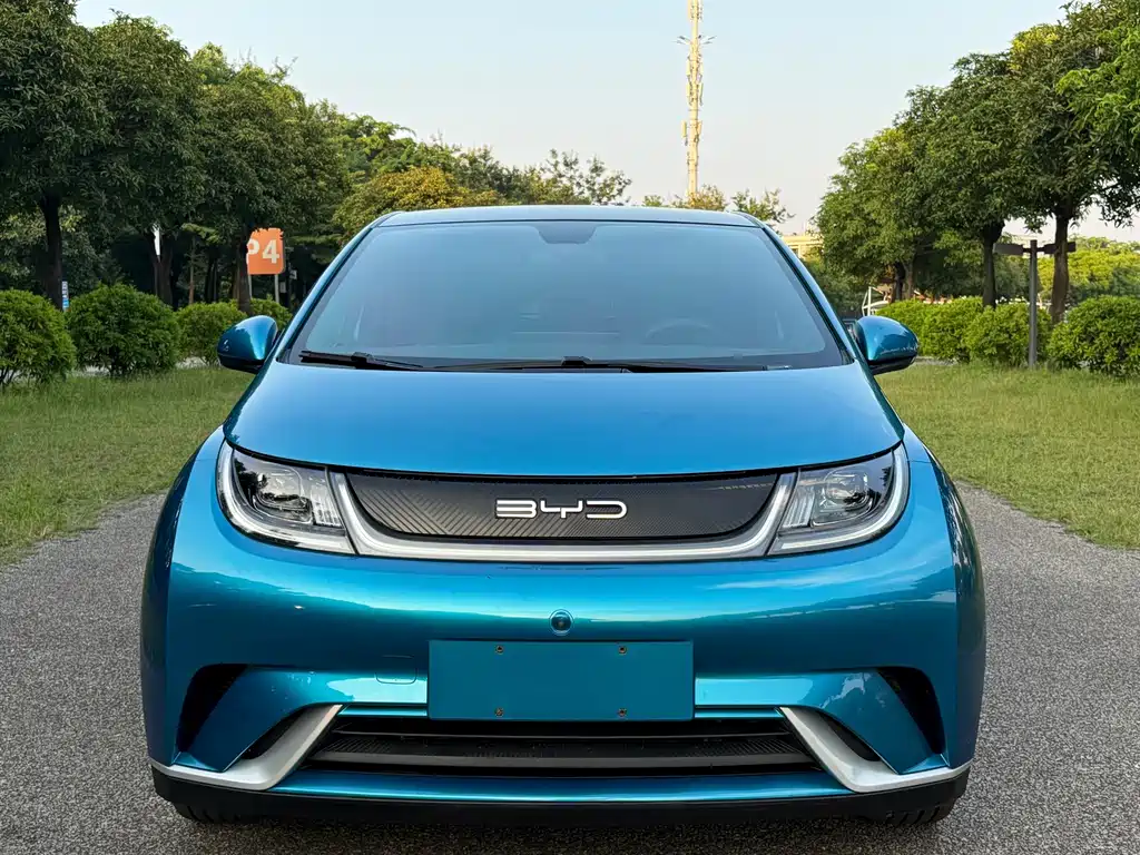 BYD Dolphin — миниатюра 2