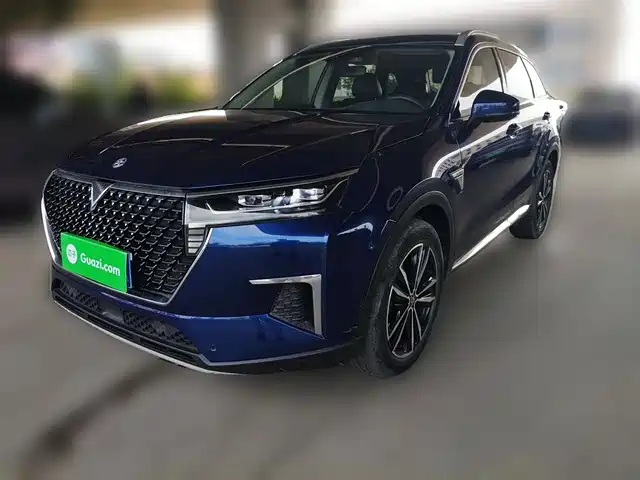 QICHEN XING 2020