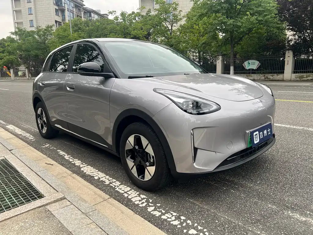 Geely Geome Xingyuan 2025 310km