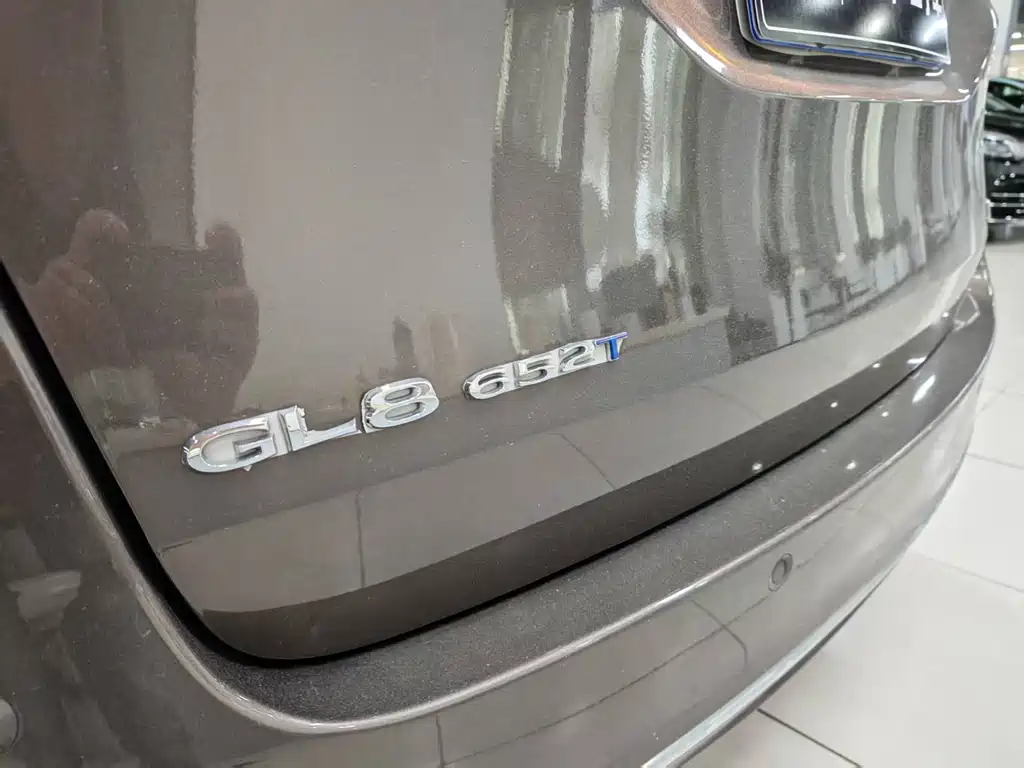 Buick GL8 — миниатюра 13