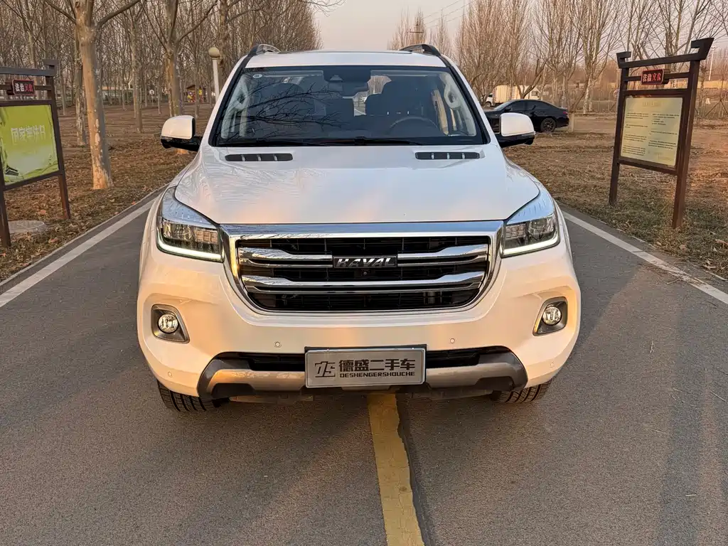 HAVAL H9