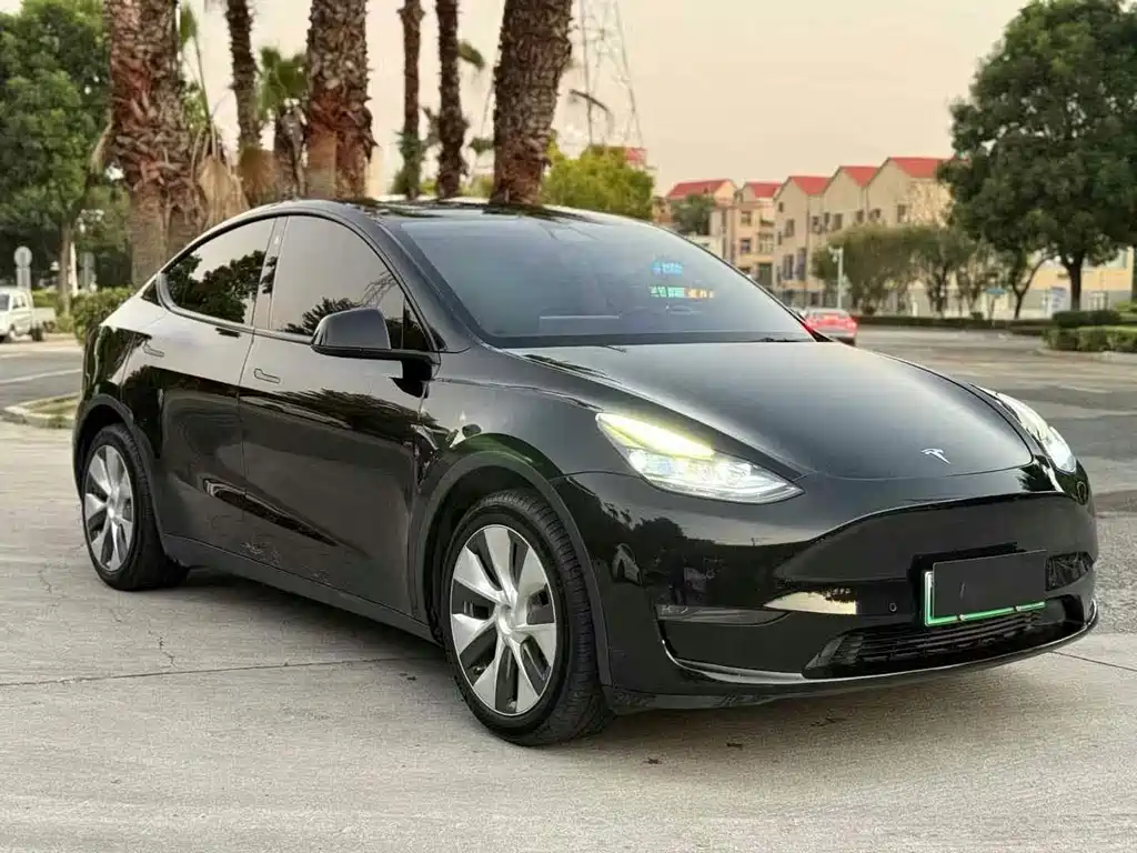 Tesla Model Y — миниатюра 3