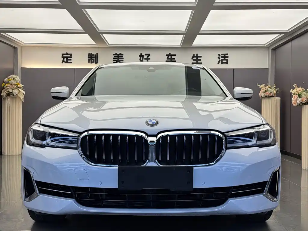 BMW 5 Series — миниатюра 2
