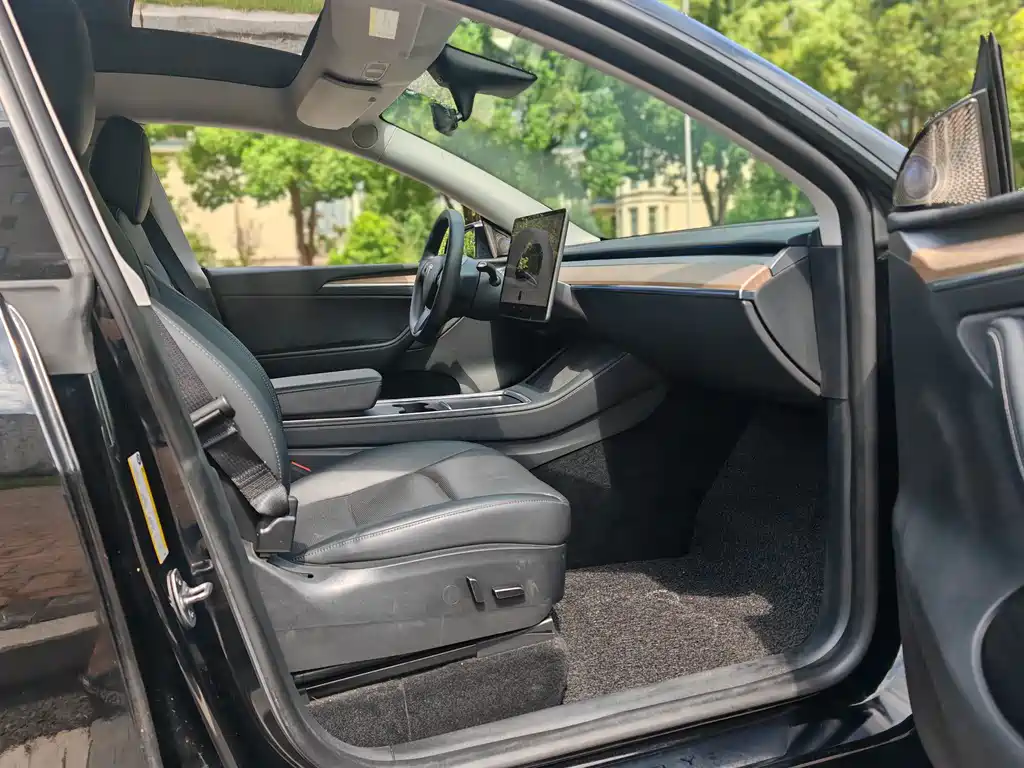 Tesla Model Y — миниатюра 12