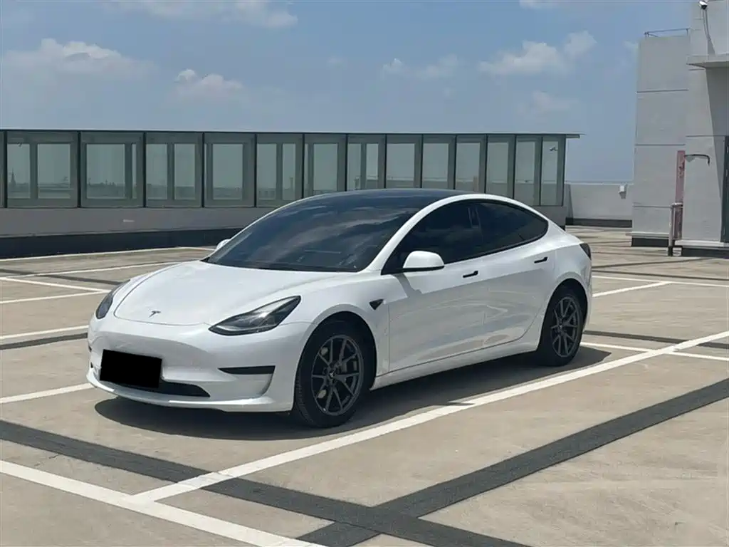 Tesla Model 3 2021