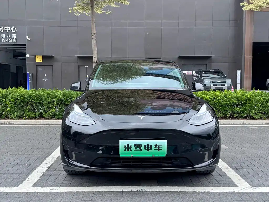 Tesla Model Y — миниатюра 2