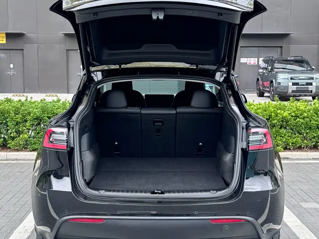 Tesla Model Y — миниатюра 8