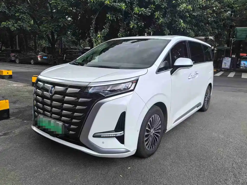 2023 Denza D9 - zdjęcie 1 z 8