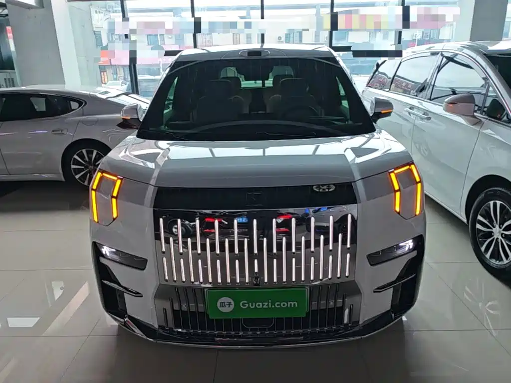 Zeekr 009 2024 мест Executive 108kWh