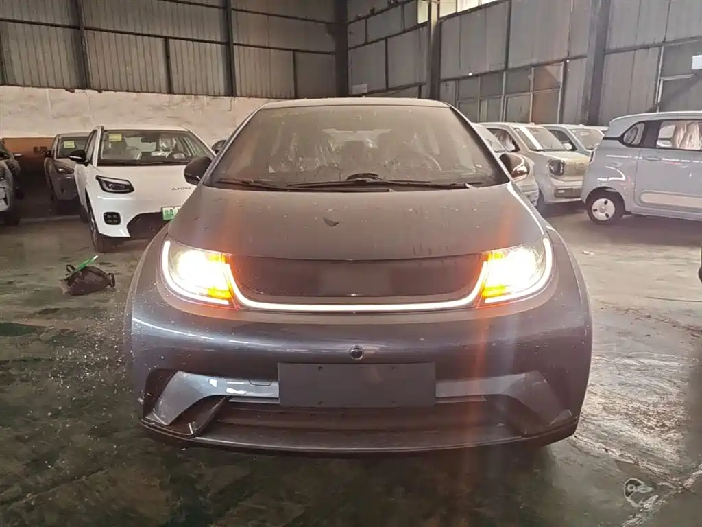 BYD Dolphin 2025 420km Freedom