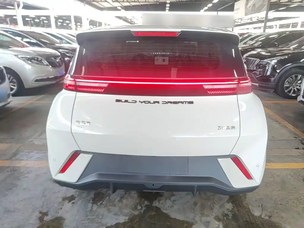 BYD Seagull