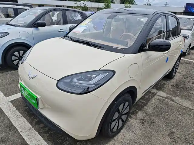 2026 Wuling Motors Binguo