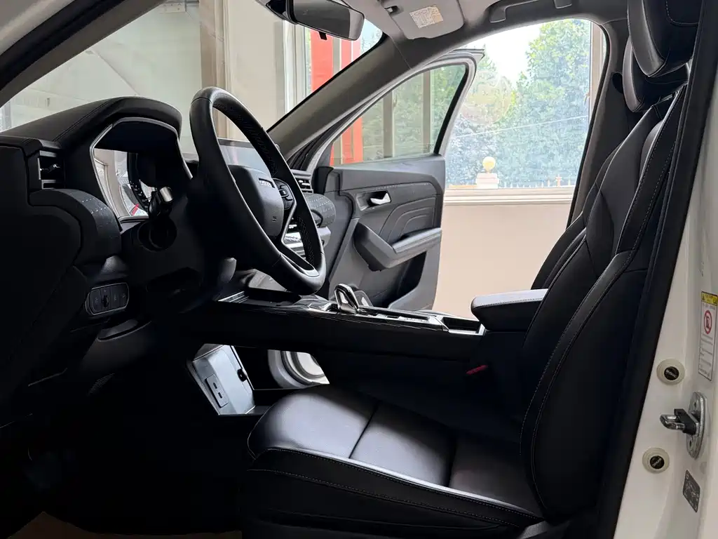 Haval Chitu Dynamic Enjoy Edition 1.5T Brass Rabbit, фото 10