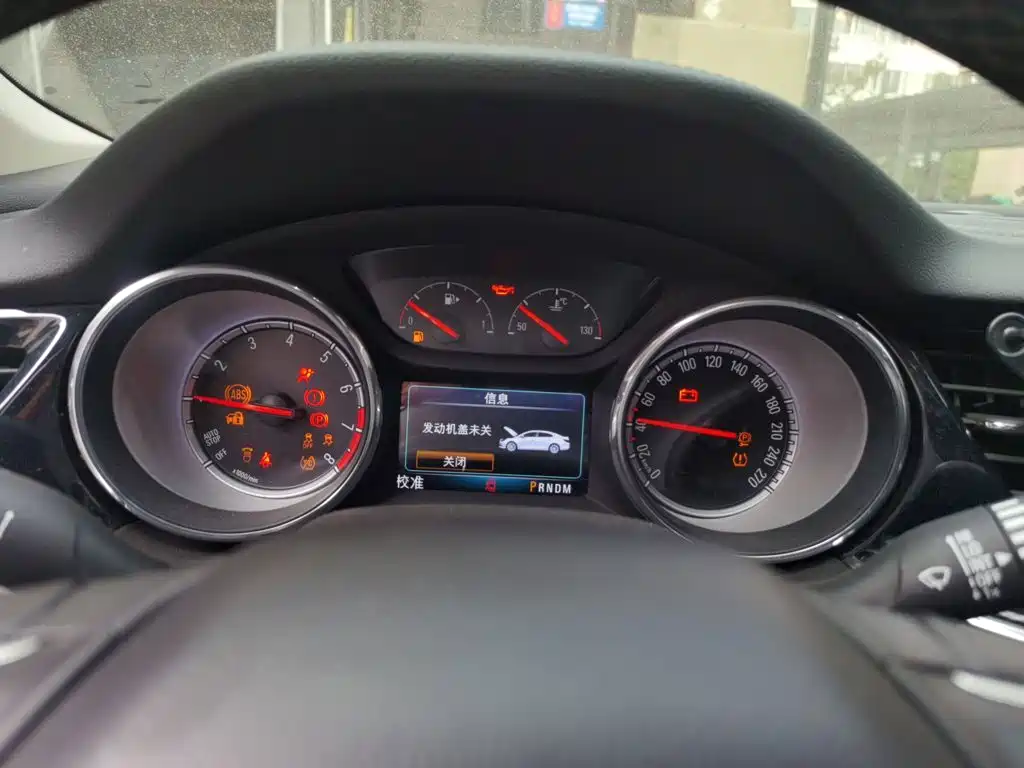 Buick Regal — миниатюра 12