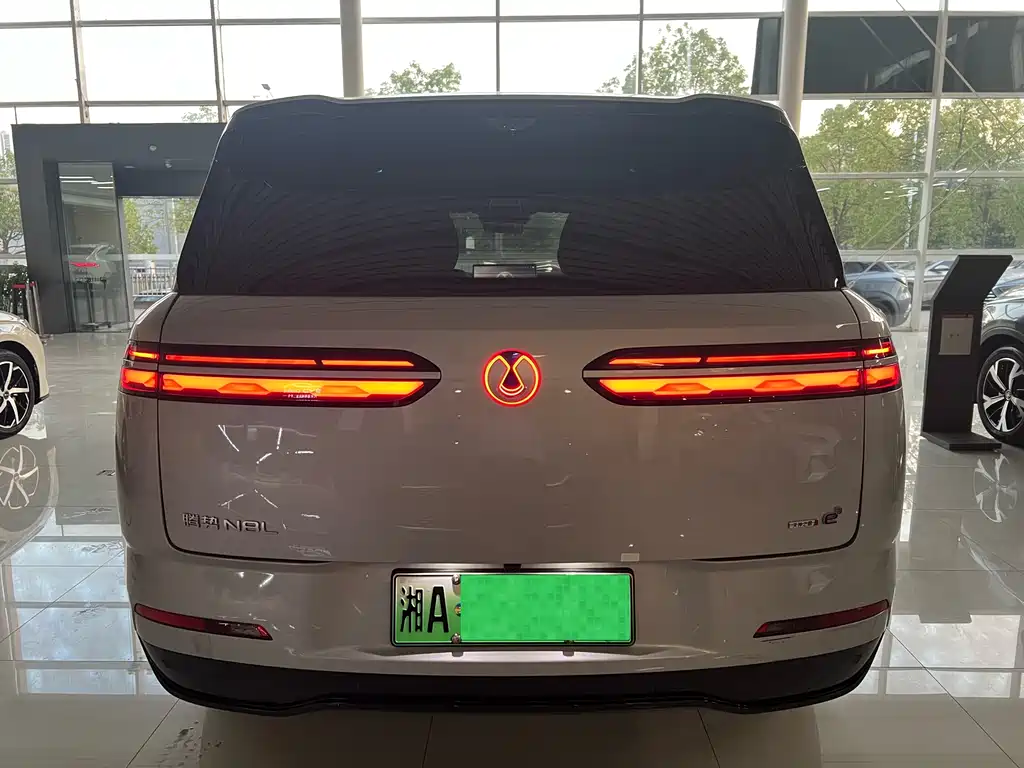 Denza Denza N8L — миниатюра 8