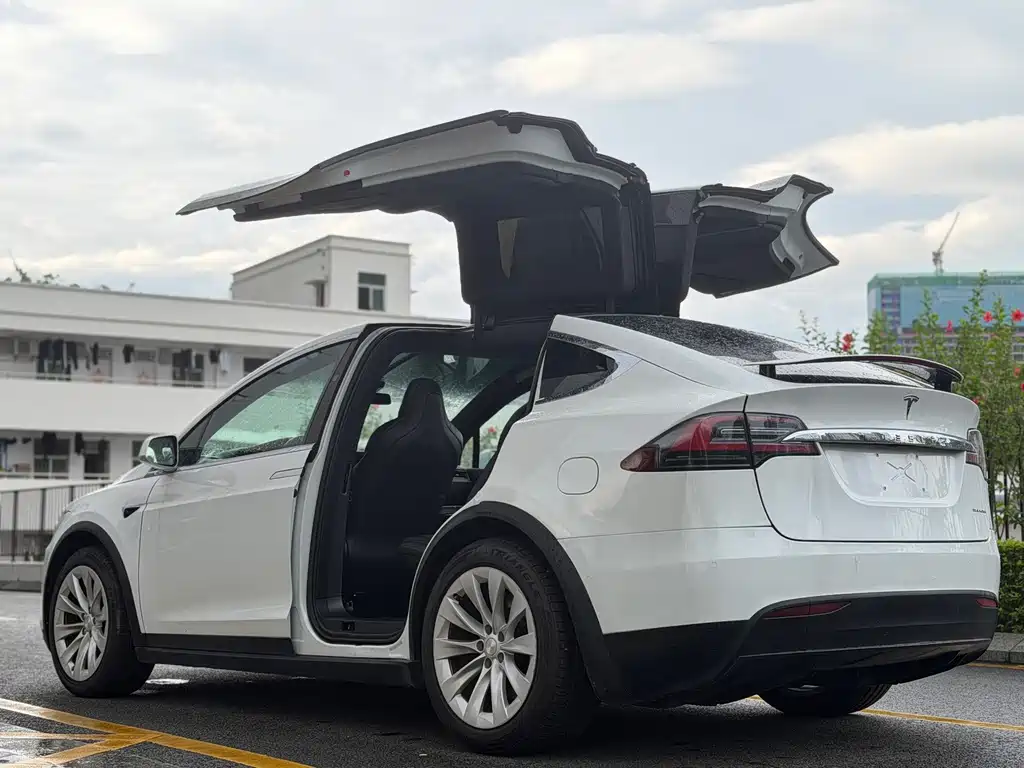 Tesla Model X — миниатюра 5