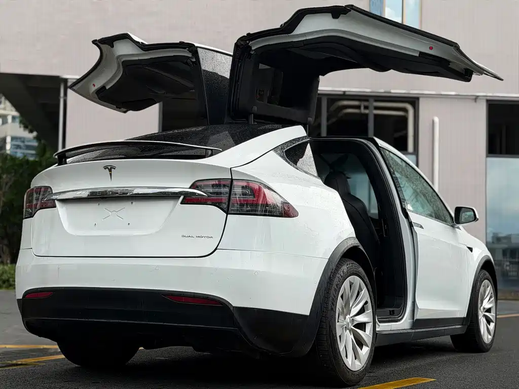 Tesla Model X — миниатюра 7