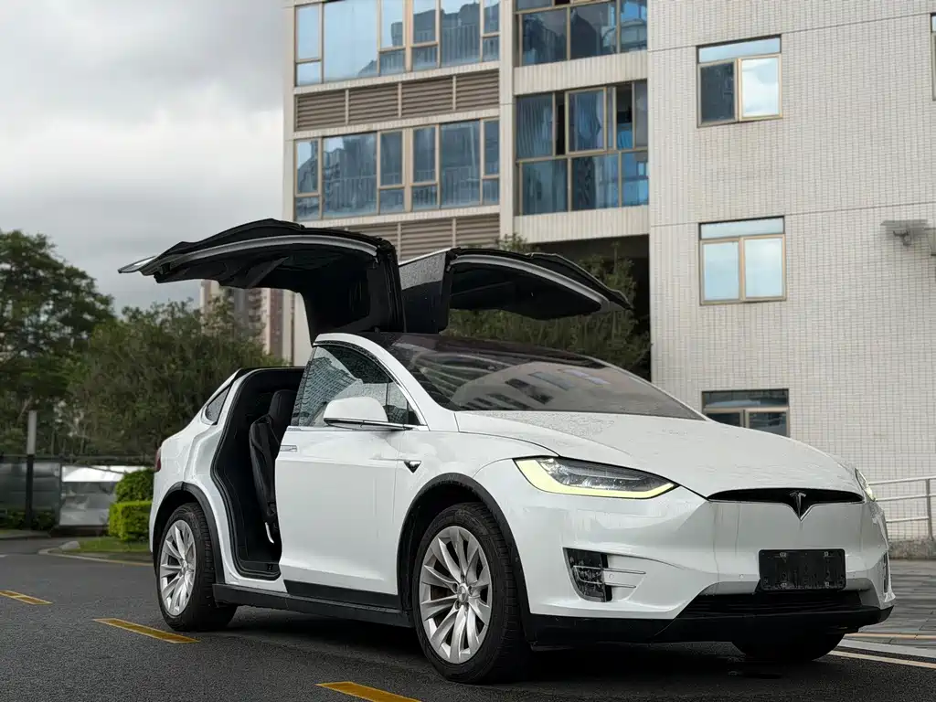 Tesla Model X — миниатюра 3