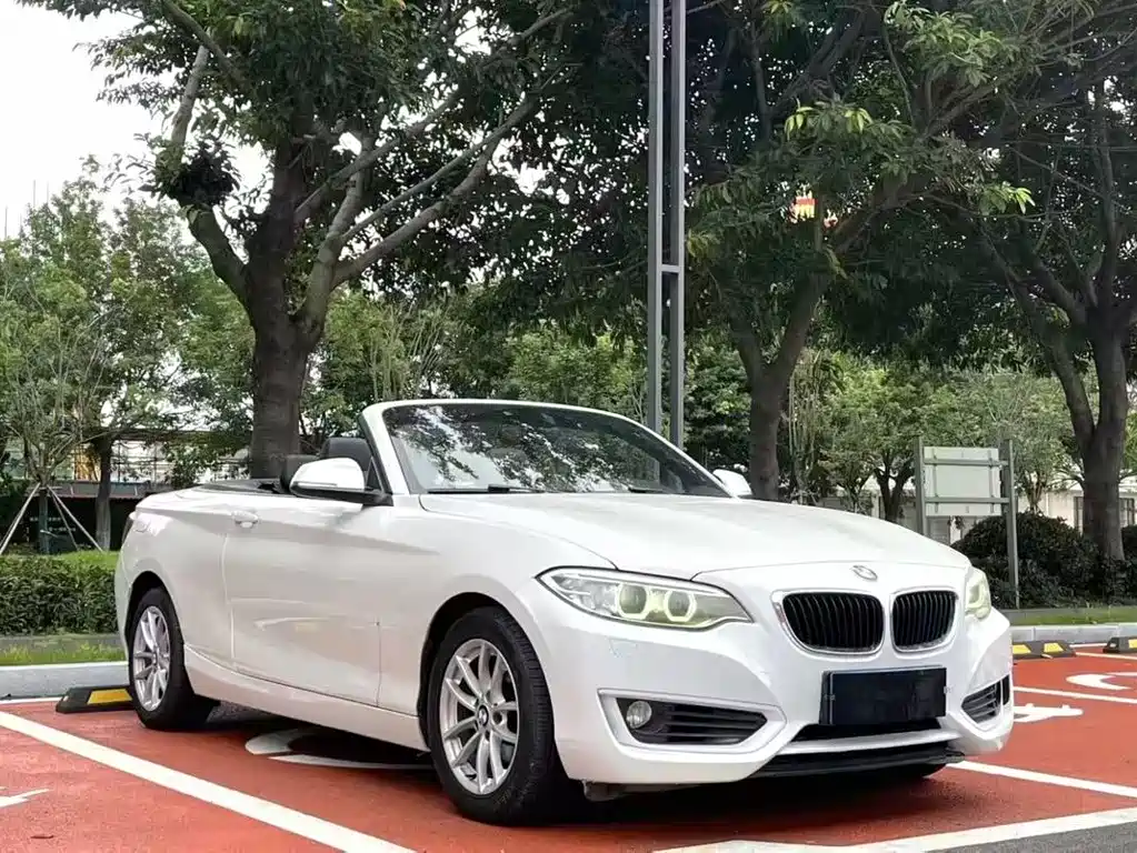 BMW 2 Series (Import) — миниатюра 2
