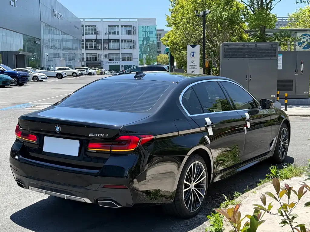 BMW 5 Series 5 2023 530Li Lead Luxury