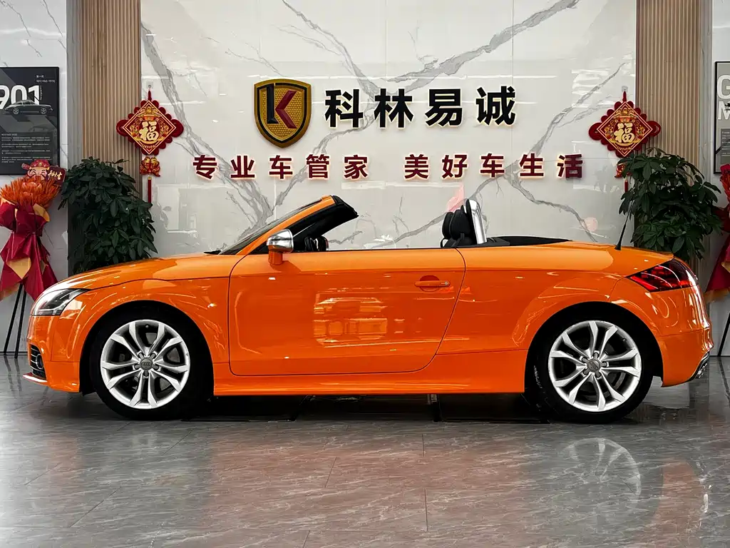 Audi TTS — миниатюра 14