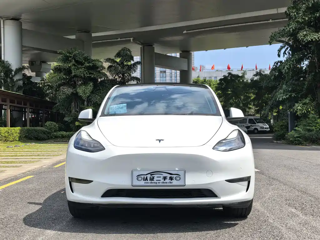 Tesla Model Y — миниатюра 2