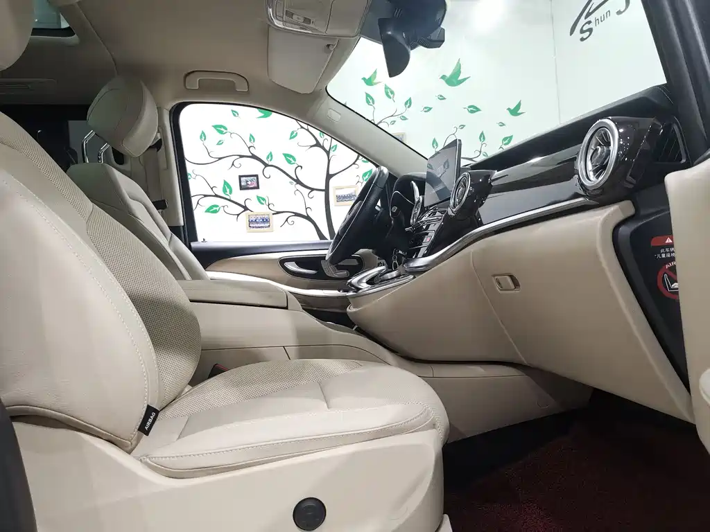 MERCEDES-BENZ V CLASS