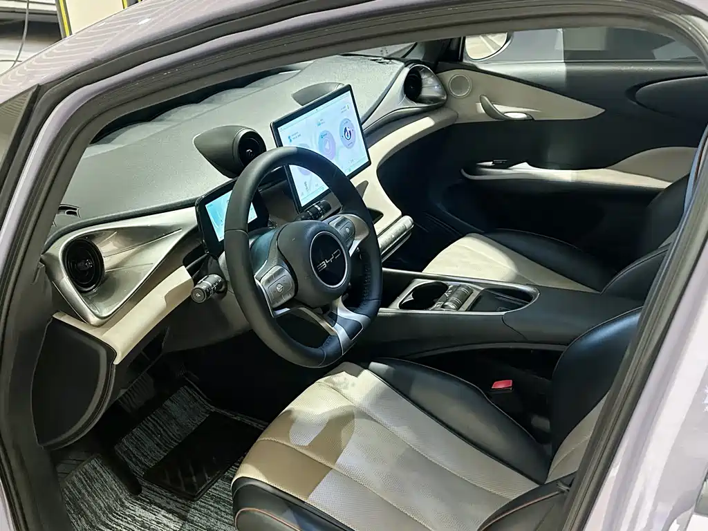 BYD Dolphin 2023 420km Fashion