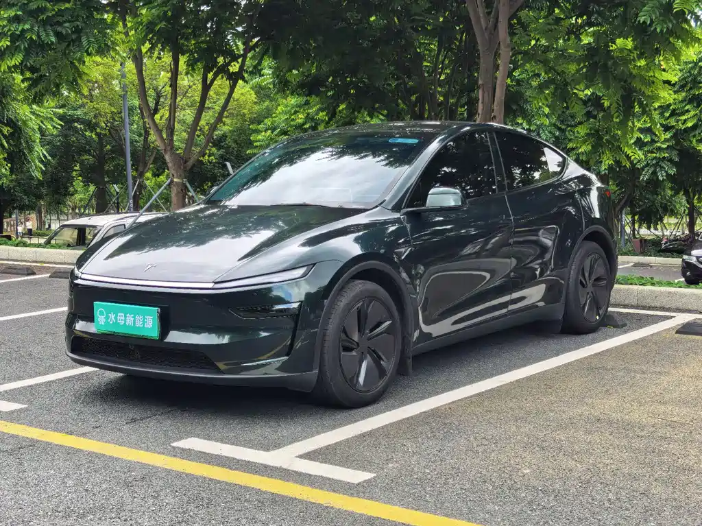 Tesla Model Y 2025