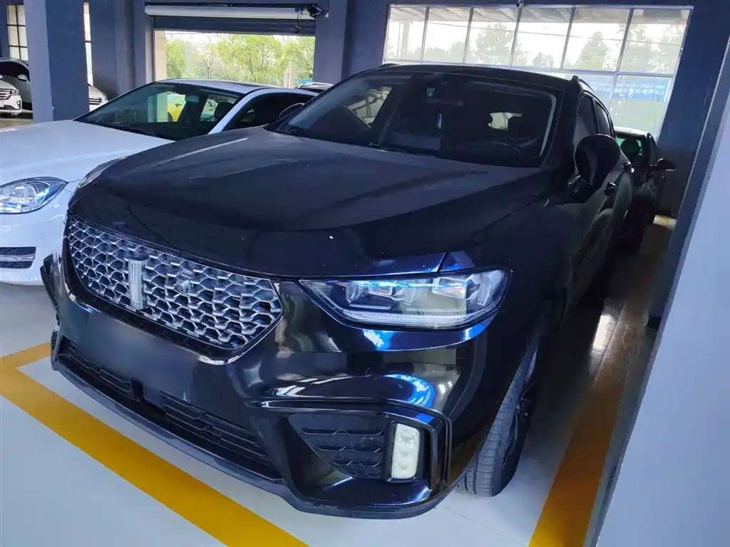 Wey Wey VV5 2020